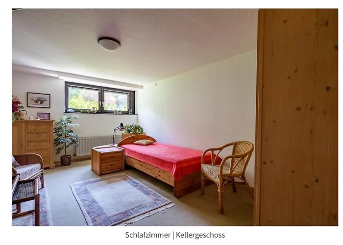 Cozy Basement Guest Room In Quietness